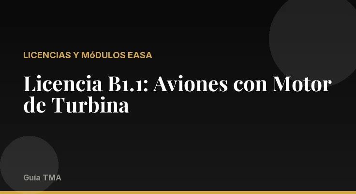 Licencia B1.1: Aviones con Motor de Turbina