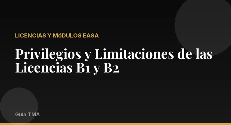 Privilegios y Limitaciones de las Licencias B1 y B2
